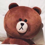 屎壳郎的仙人球