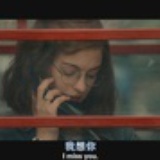猫与rose