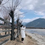 蓄力中的仙人掌