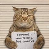 我是老渣