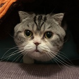 猜想