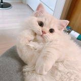 楠楠楠楠楠