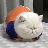 。。。