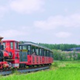 省钱小王子