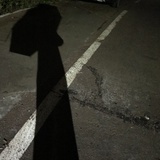 喵年年