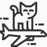 快意飞猫