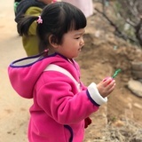 菩提树下