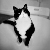 Mr.简