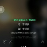 鸭梨