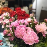 默小鱼