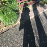 婉转of蓝🍋。