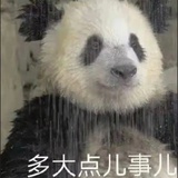 聊天止于呵呵
