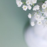 蛋花汤