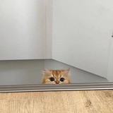 惜墨啊