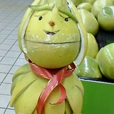 你好，摩羯