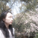 我鲨我寄几