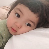 橙子