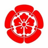 王树远