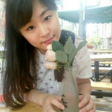 花儿在开