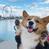不要晚睡了