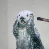 阿我