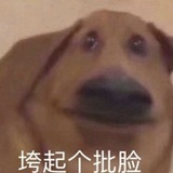 乐乐屁