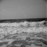 海