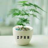江南格调花艺