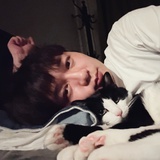 一隻野生叮當貓