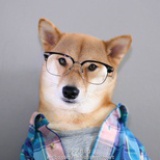 狗狗