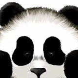 岑天羊