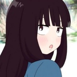 小金猪