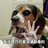 比爱世人