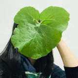 ONELiving 一活