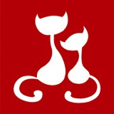 猫咪安琪