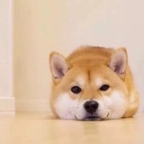 老碗头