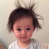 禾禾