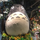 水玲珑