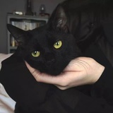Xixi