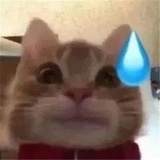QQ