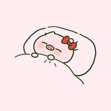 猪不卖