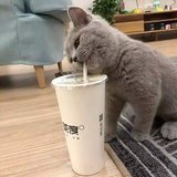 已注销