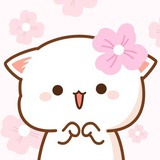 Cimmy