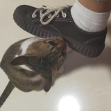 开心真今天