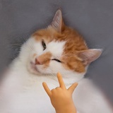 ʏɪɪɪʀ