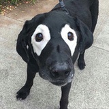 S1N0