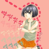 软马