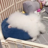 有一口井