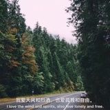 山有木兮