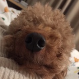 火锅锅锅